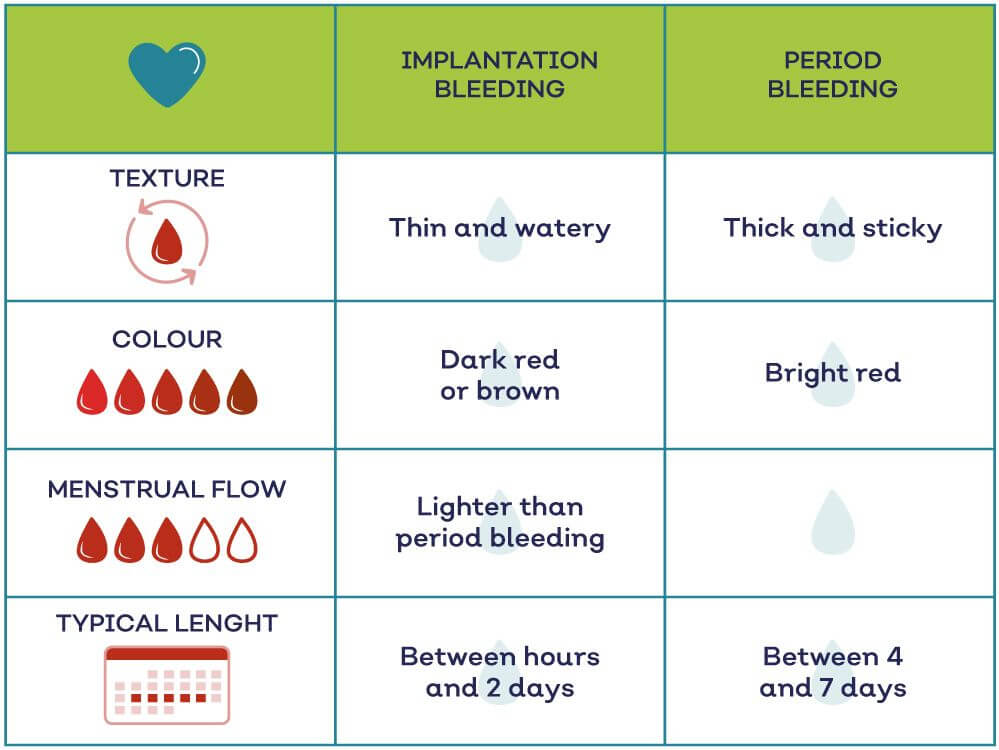 How Soon Can Implantation Bleeding Occur After Embryo Transfer